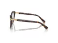 Swarovski SK 2030 1002 53 Women glasses