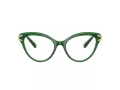Swarovski SK 2030 1064 53 Women glasses