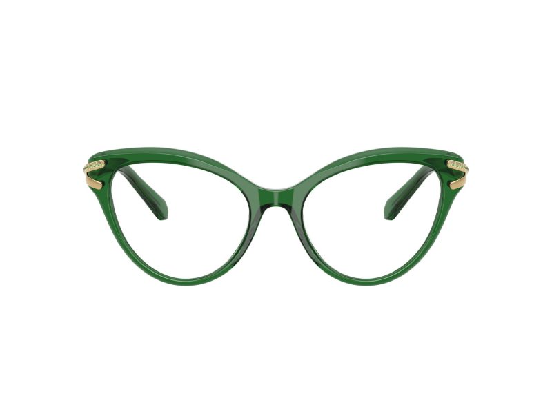 Swarovski SK 2030 1064 53 Women glasses