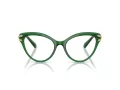 Swarovski SK 2030 1064 53 Women glasses