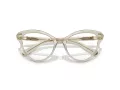 Swarovski SK 2030 3003 53 Women glasses
