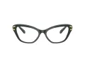 Swarovski SK 2031 1026 53 Women glasses