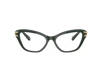 Swarovski SK 2031 1026 53 Women glasses