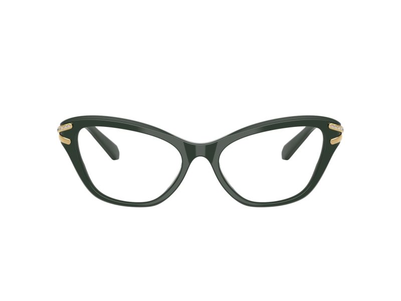 Swarovski SK 2031 1026 53 Women glasses