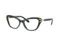 Swarovski SK 2031 1026 53 Women glasses