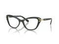 Swarovski SK 2031 1026 53 Women glasses