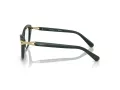 Swarovski SK 2031 1026 55 Women glasses