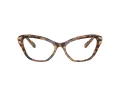 Swarovski SK 2031 1040 53 Women glasses