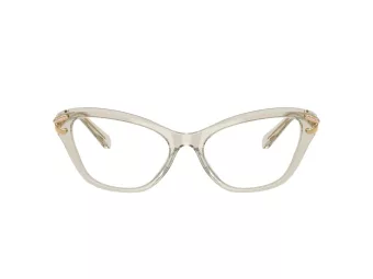 Swarovski SK 2031 3003 53 Women glasses