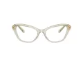 Swarovski SK 2031 3003 55 Women glasses