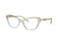 Swarovski SK 2031 3003 55 Women glasses