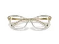 Swarovski SK 2031 3003 55 Women glasses
