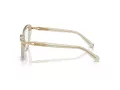 Swarovski SK 2031 3003 55 Women glasses