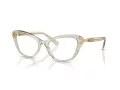 Swarovski SK 2031 3003 55 Women glasses