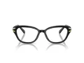 Swarovski SK 2032 1001 54 Women glasses