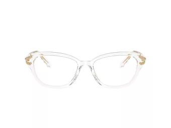 Swarovski SK 2032 1027 54 Women glasses
