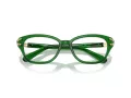 Swarovski SK 2032 1064 52 Women glasses