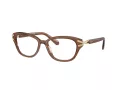 Swarovski SK 2032 1067 52 Women glasses