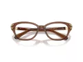 Swarovski SK 2032 1067 52 Women glasses