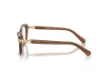 Swarovski SK 2032 1067 52 Women glasses
