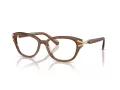 Swarovski SK 2032 1067 52 Women glasses