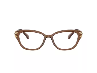 Swarovski SK 2032 1067 54 Women glasses