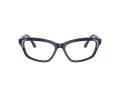 Swarovski SK 2034 1004 54 Women glasses