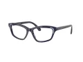 Swarovski SK 2034 1004 54 Women glasses