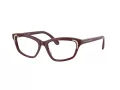 Swarovski SK 2034 1008 52 Women glasses