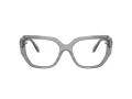 Swarovski SK 2035 1062 55 Women glasses