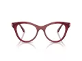 Swarovski SK 2036 1055 50 Women glasses