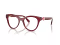 Swarovski SK 2036 1055 50 Women glasses