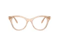 Swarovski SK 2036 1063 50 Women glasses