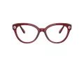 Swarovski SK 2037 1055 54 Women glasses