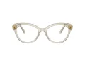 Swarovski SK 2037 3003 52 Women glasses