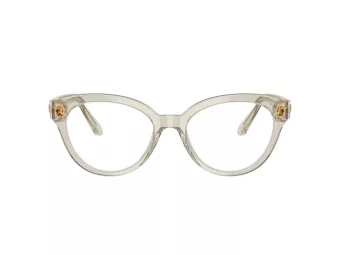 Swarovski SK 2037 3003 52 Women glasses