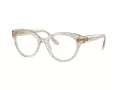 Swarovski SK 2037 3003 52 Women glasses