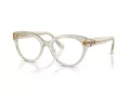 Swarovski SK 2037 3003 52 Women glasses