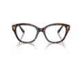 Swarovski SK 2038 1002 53 Women glasses