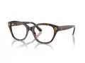 Swarovski SK 2038 1002 53 Women glasses