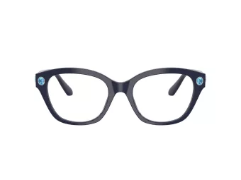 Swarovski SK 2038 1004 51 Women glasses
