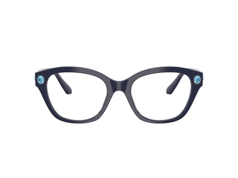 Swarovski SK 2038 1004 51 Women glasses