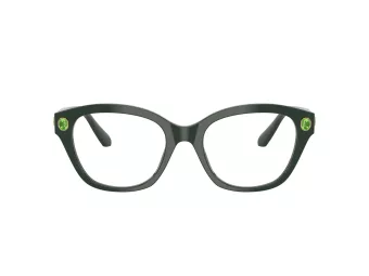 Swarovski SK 2038 1026 51 Women glasses