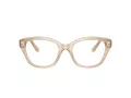 Swarovski SK 2038 1034 51 Women glasses