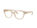 Swarovski SK 2038 1034 51 Women glasses