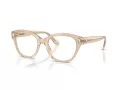 Swarovski SK 2038 1034 51 Women glasses