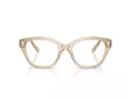 Swarovski SK 2038 1034 53 Women glasses