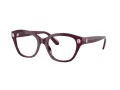Swarovski SK 2038 1044 53 Women glasses