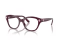 Swarovski SK 2038 1044 53 Women glasses