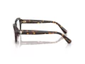 Swarovski SK 2039 1002 52 Women glasses